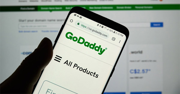 support-client-godaddy
